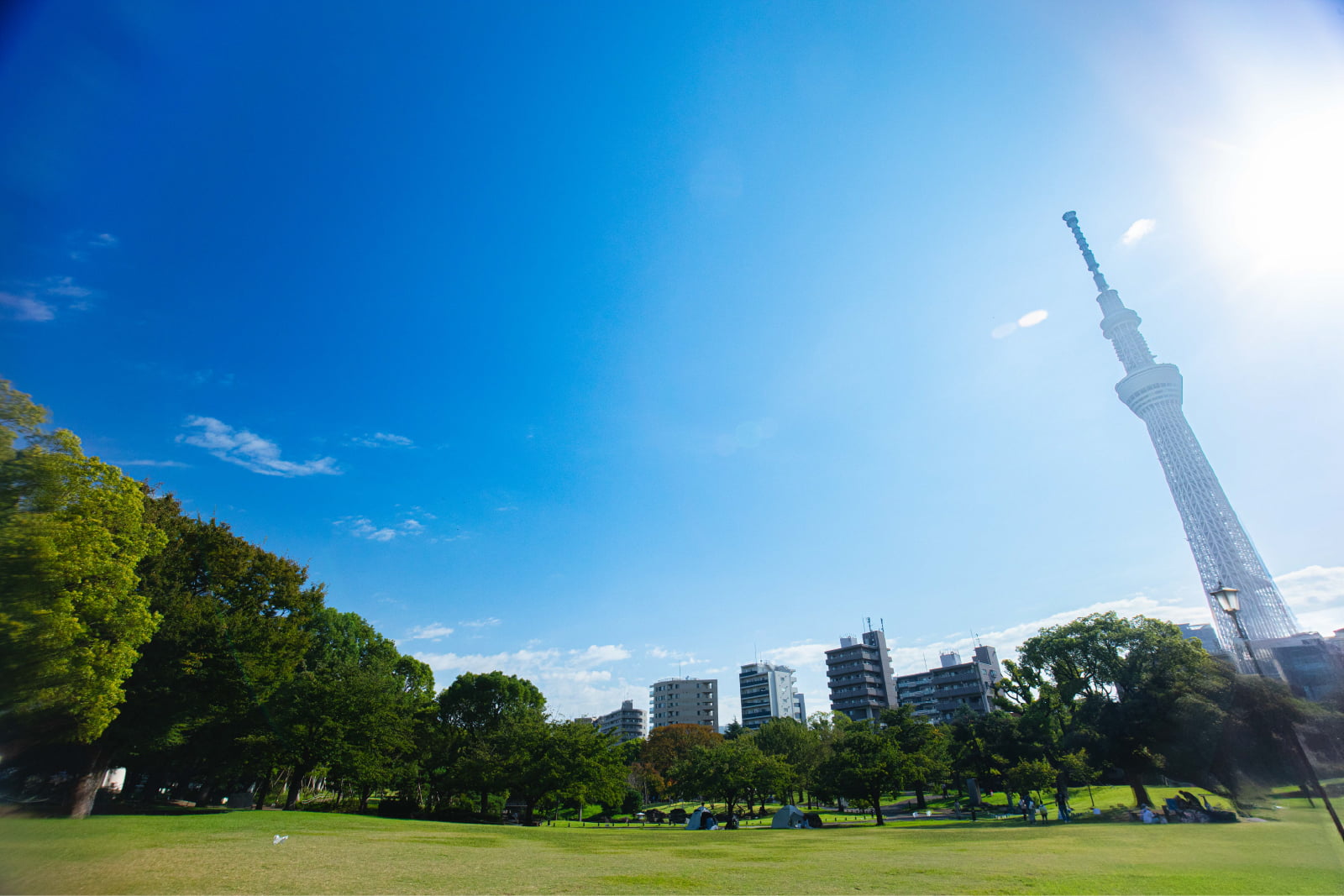 プレイベント「未来を生きるあなたへ SUMIDA PEACE CONCERT 2025」の画像